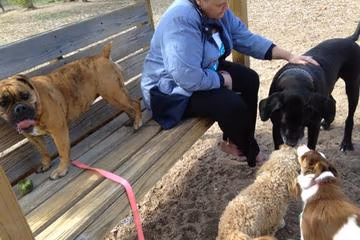 Waggin' Tails Bark Park photo 1